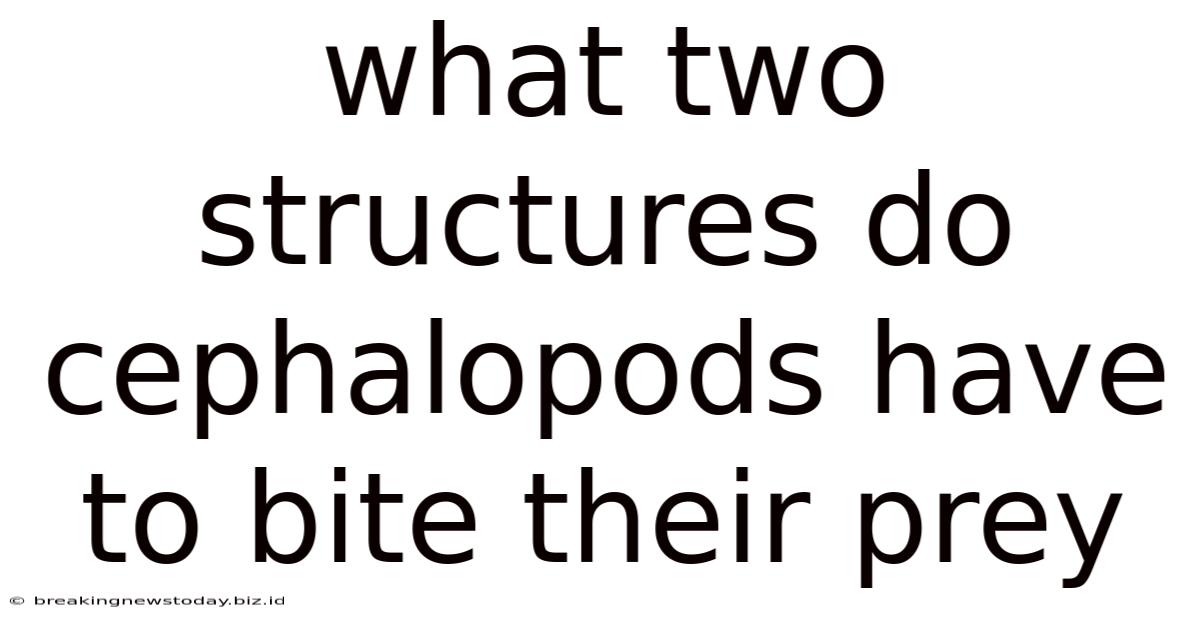 What Two Structures Do Cephalopods Have To Bite Their Prey