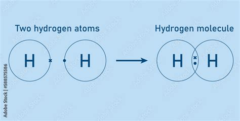 What Type Of Bond Is Joining The Two Hydrogen Atoms