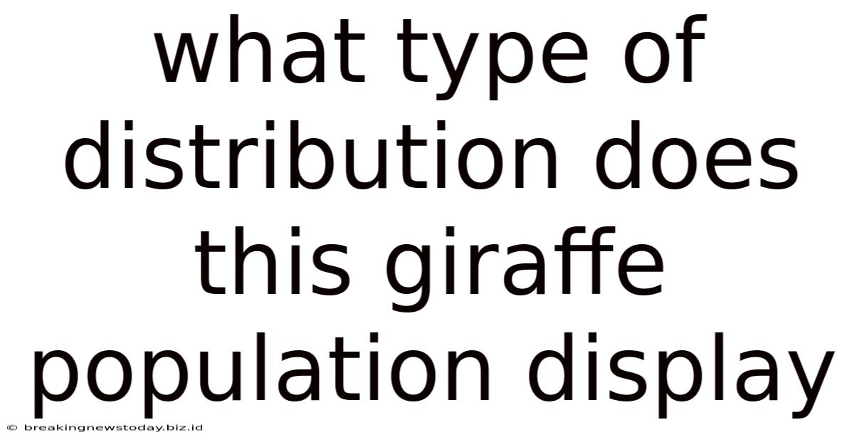 What Type Of Distribution Does This Giraffe Population Display