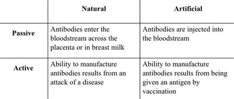 What Type Of Immunity Results From Vaccination Quizlet