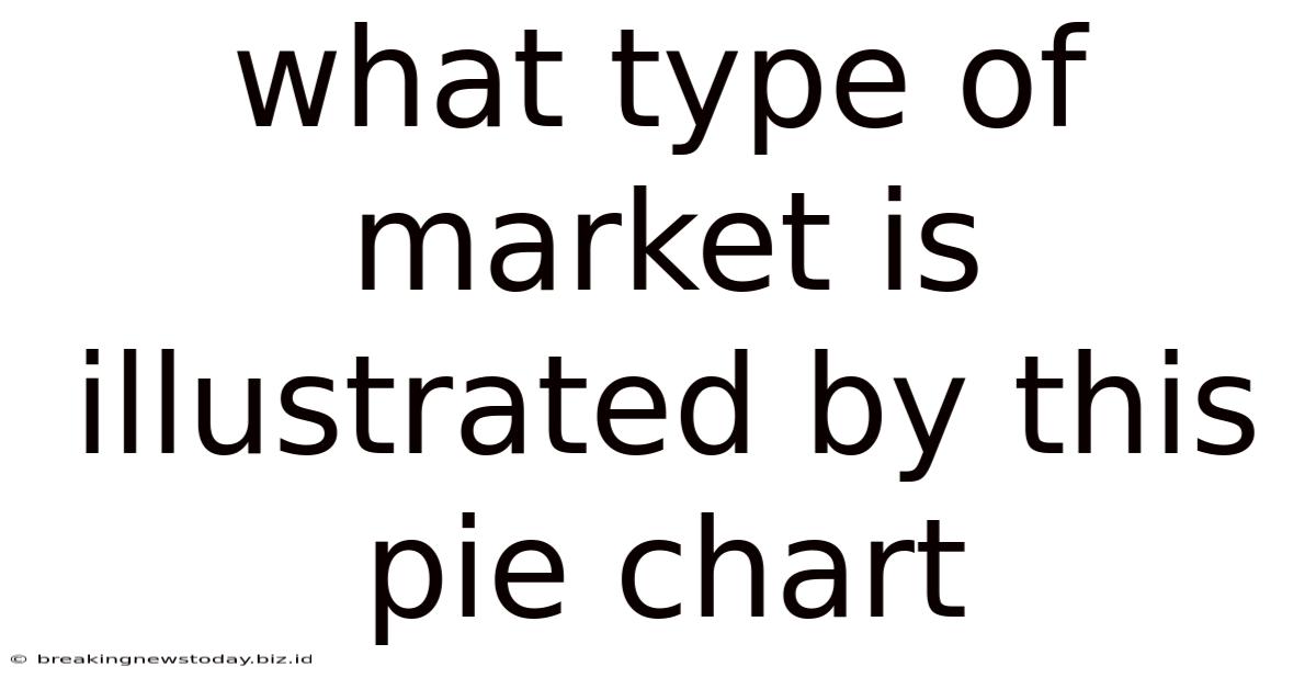 What Type Of Market Is Illustrated By This Pie Chart