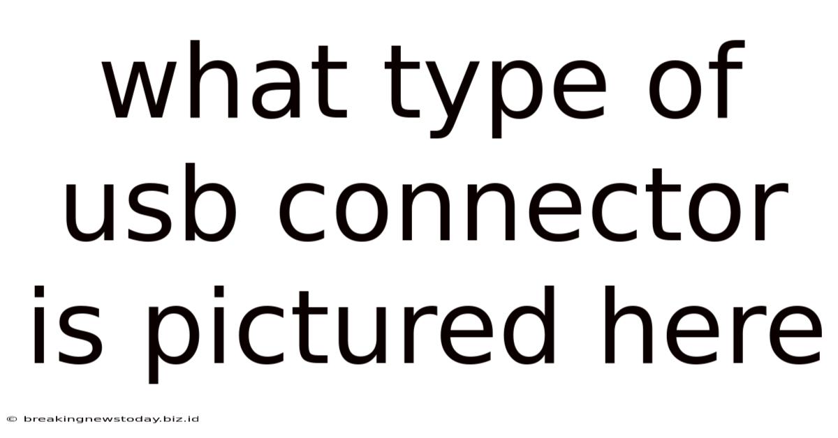 What Type Of Usb Connector Is Pictured Here