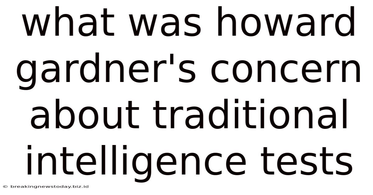 What Was Howard Gardner's Concern About Traditional Intelligence Tests