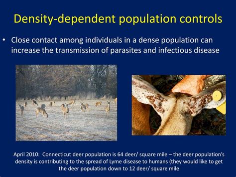 Whats A Density Independent Could Change The Deer Population