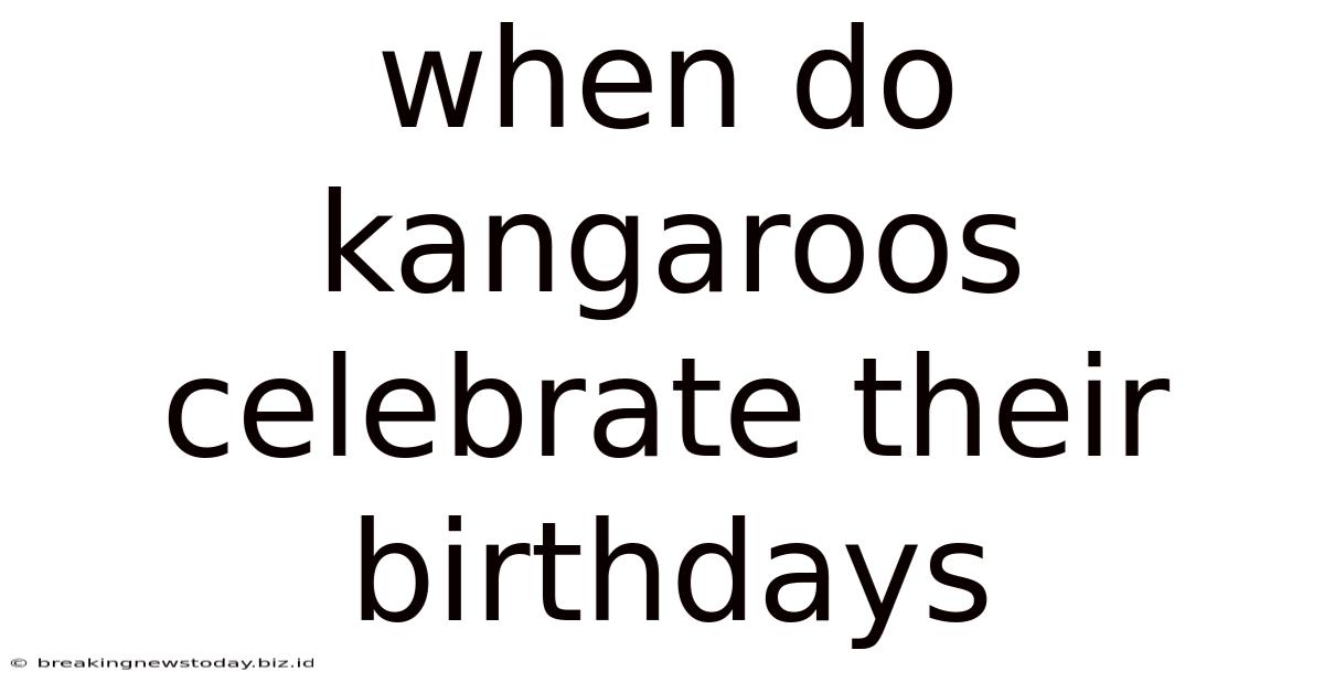 When Do Kangaroos Celebrate Their Birthdays