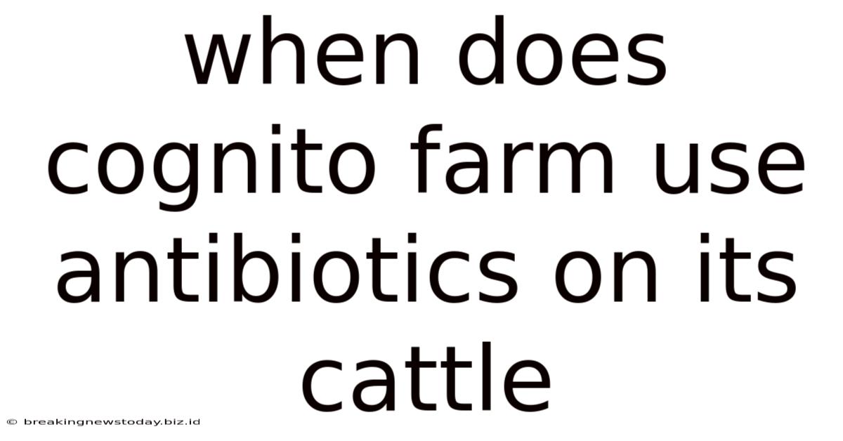 When Does Cognito Farm Use Antibiotics On Its Cattle