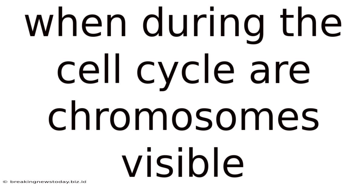 When During The Cell Cycle Are Chromosomes Visible