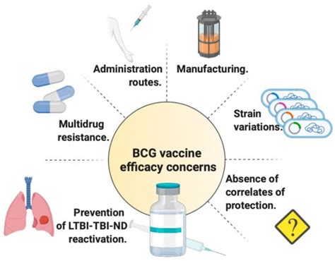 Where Can You Obtain An Immunization Against Tuberculosis