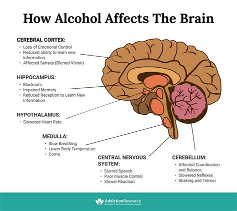 Where Does Alcohol Tend To Concentrate More