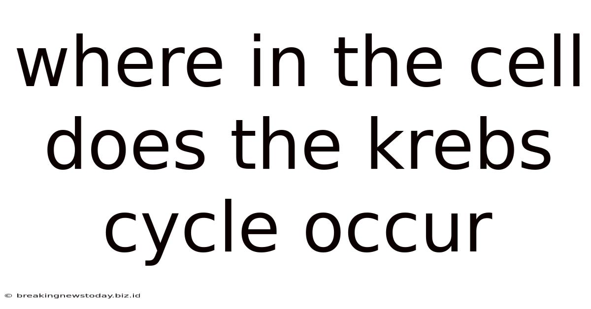 Where In The Cell Does The Krebs Cycle Occur