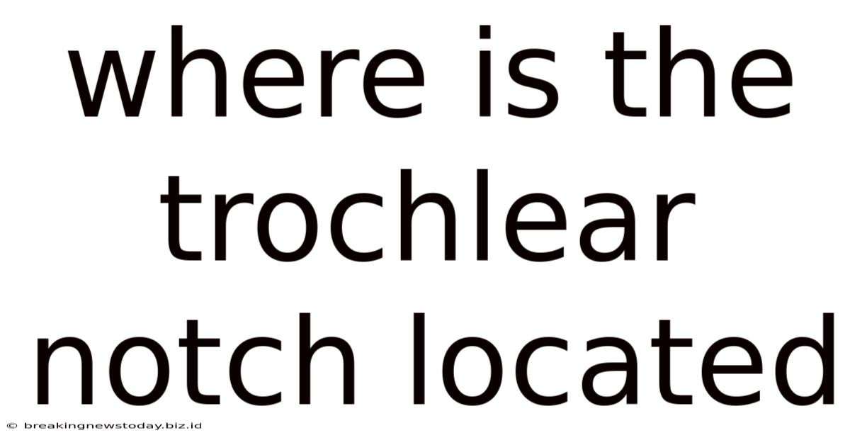 Where Is The Trochlear Notch Located