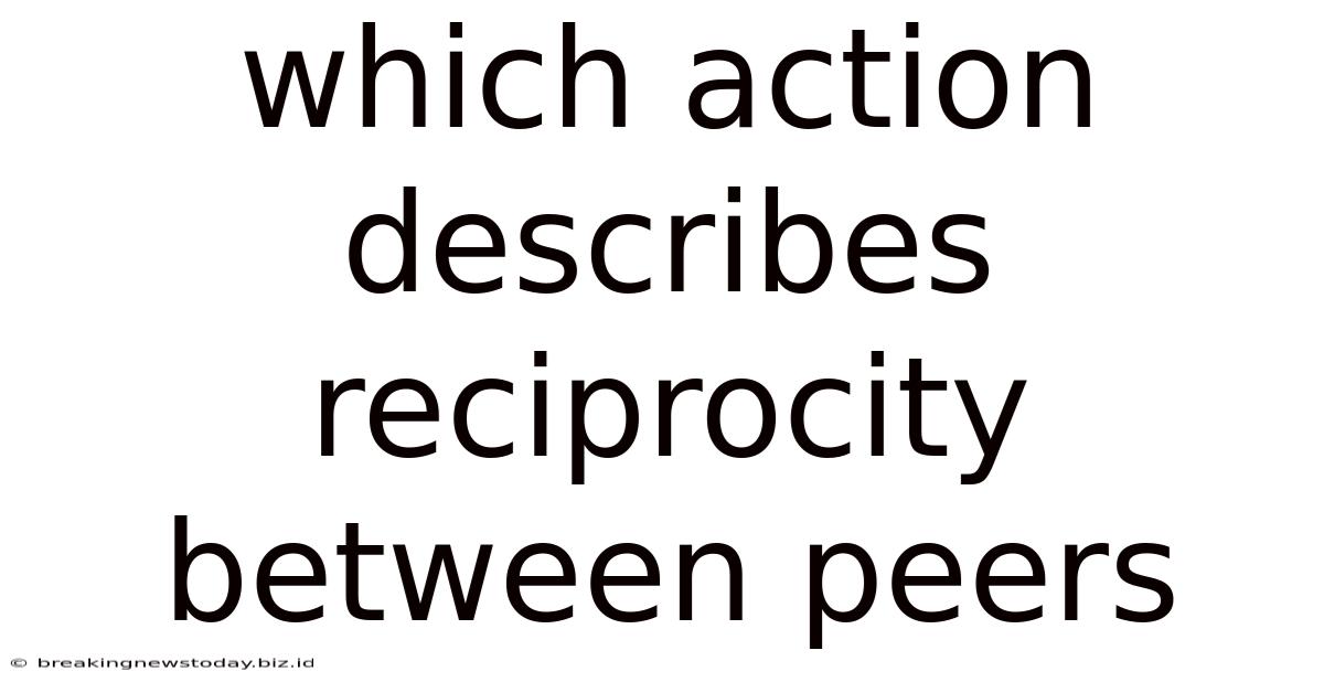 Which Action Describes Reciprocity Between Peers