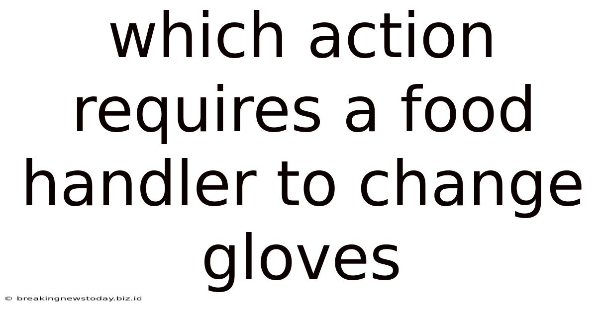 Which Action Requires A Food Handler To Change Gloves