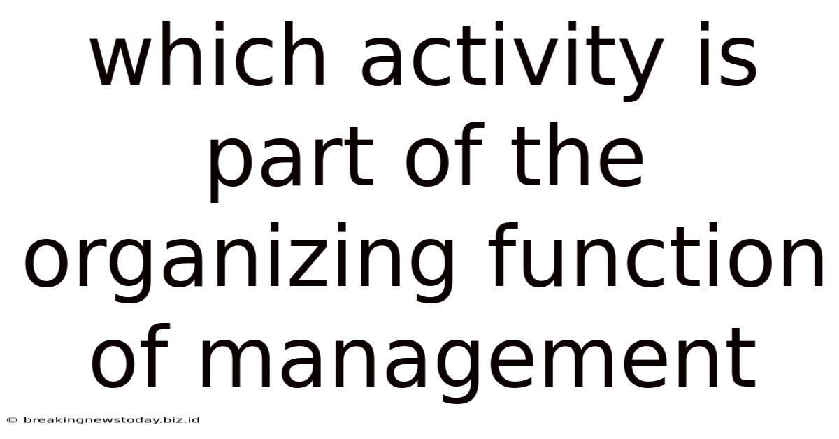Which Activity Is Part Of The Organizing Function Of Management