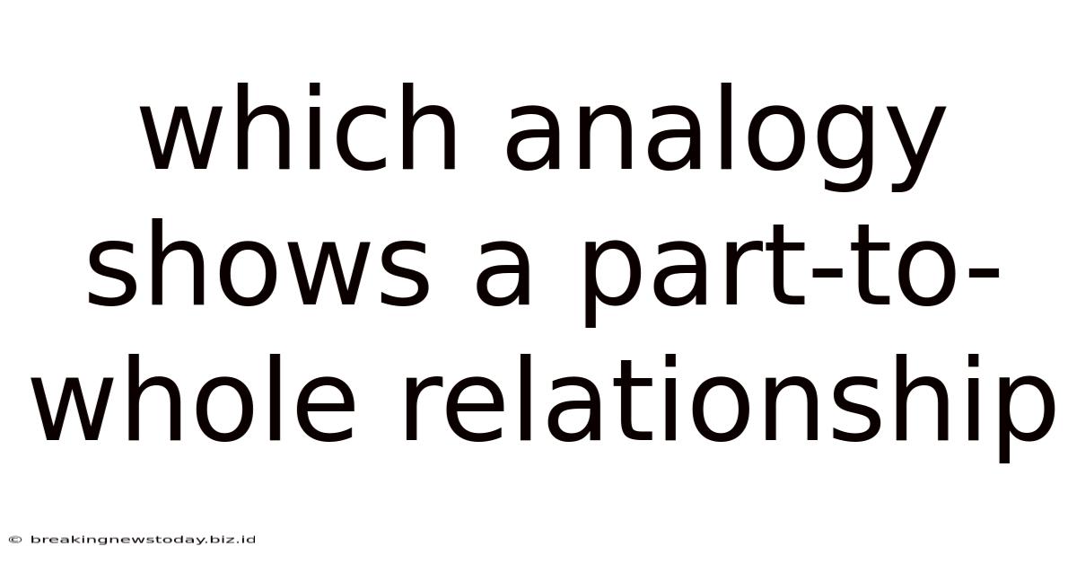 Which Analogy Shows A Part-to-whole Relationship