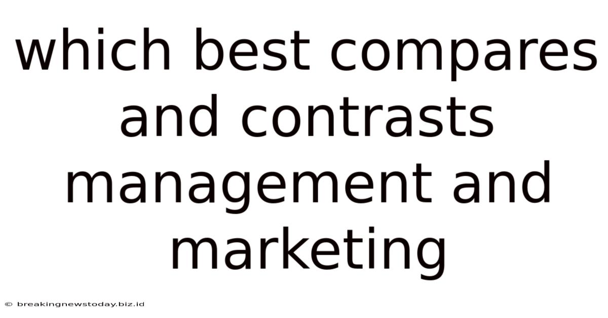 Which Best Compares And Contrasts Management And Marketing