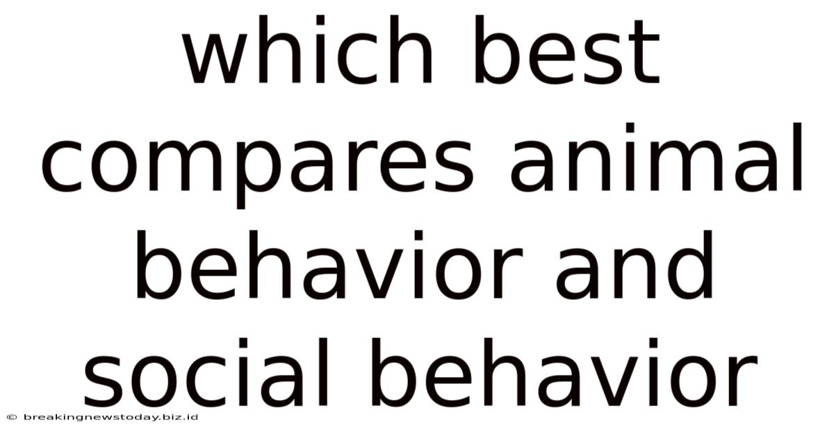 Which Best Compares Animal Behavior And Social Behavior