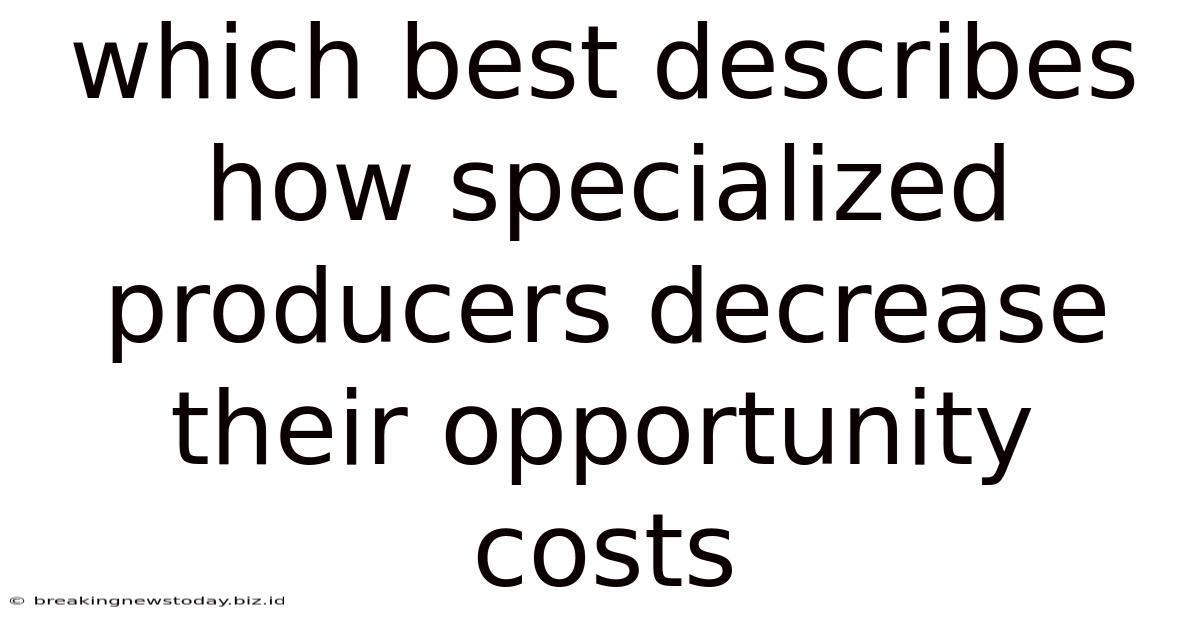 Which Best Describes How Specialized Producers Decrease Their Opportunity Costs