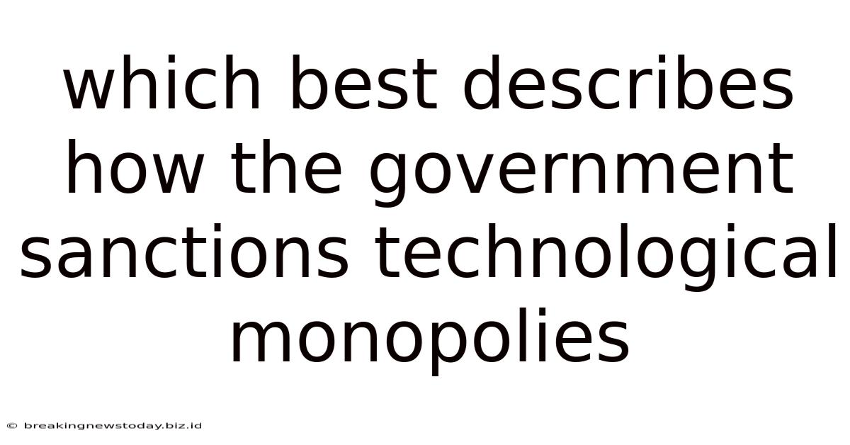 Which Best Describes How The Government Sanctions Technological Monopolies