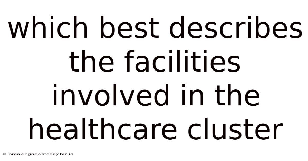 Which Best Describes The Facilities Involved In The Healthcare Cluster