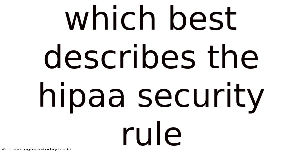 Which Best Describes The Hipaa Security Rule