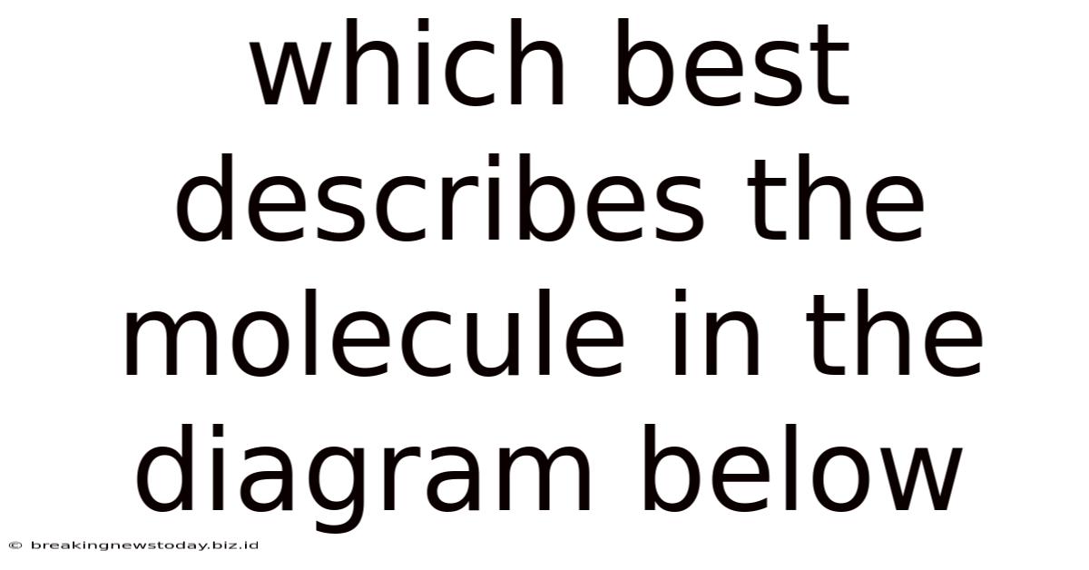 Which Best Describes The Molecule In The Diagram Below