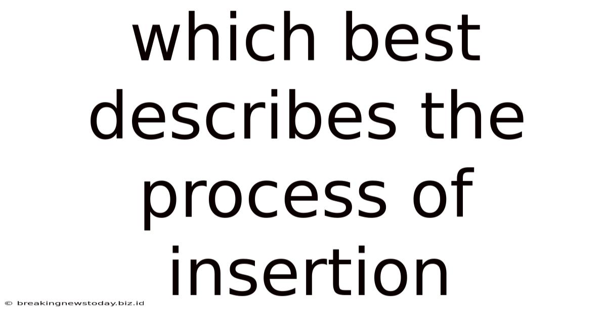 Which Best Describes The Process Of Insertion