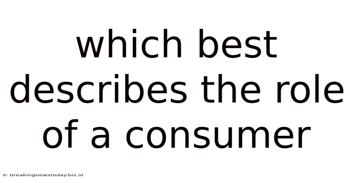 Which Best Describes The Role Of A Consumer