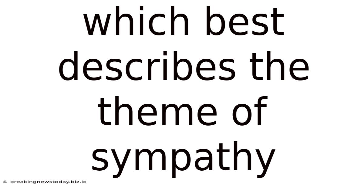 Which Best Describes The Theme Of Sympathy