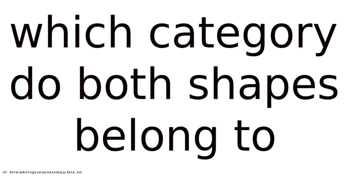Which Category Do Both Shapes Belong To