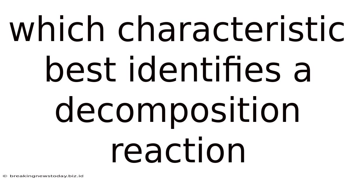 Which Characteristic Best Identifies A Decomposition Reaction