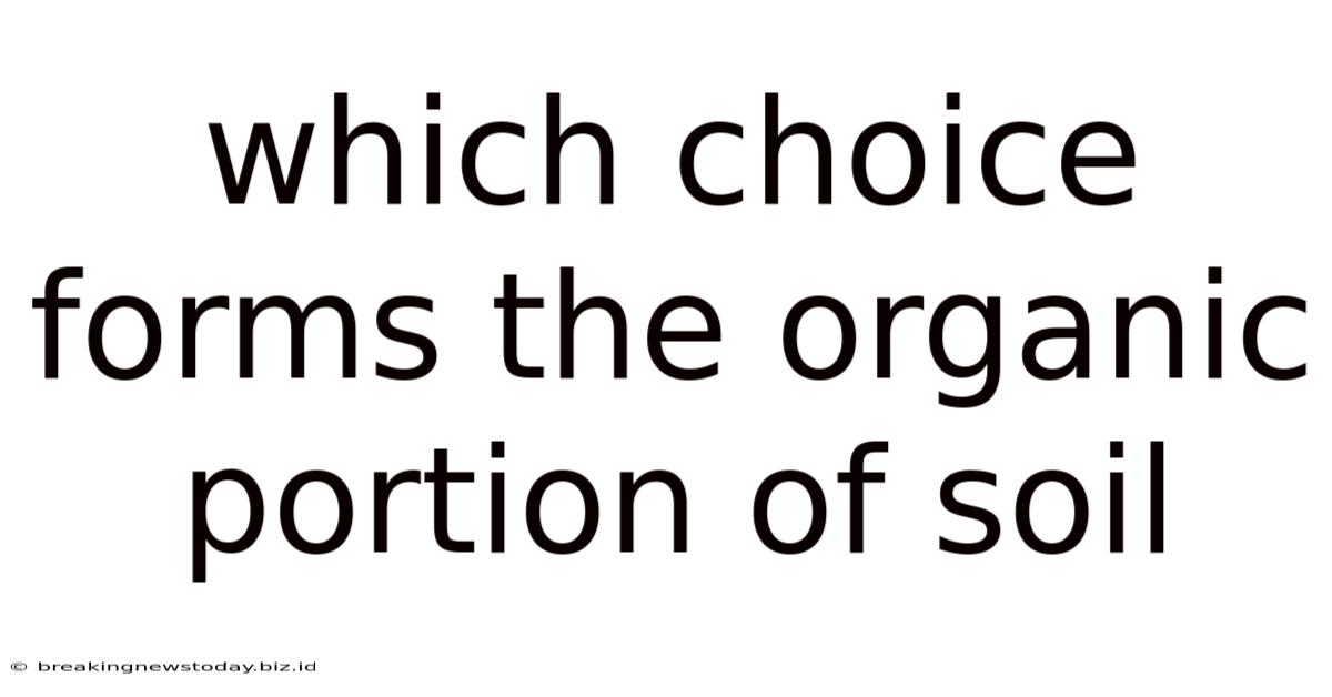 Which Choice Forms The Organic Portion Of Soil