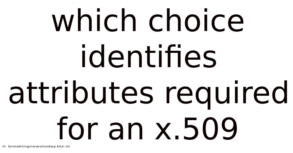 Which Choice Identifies Attributes Required For An X.509
