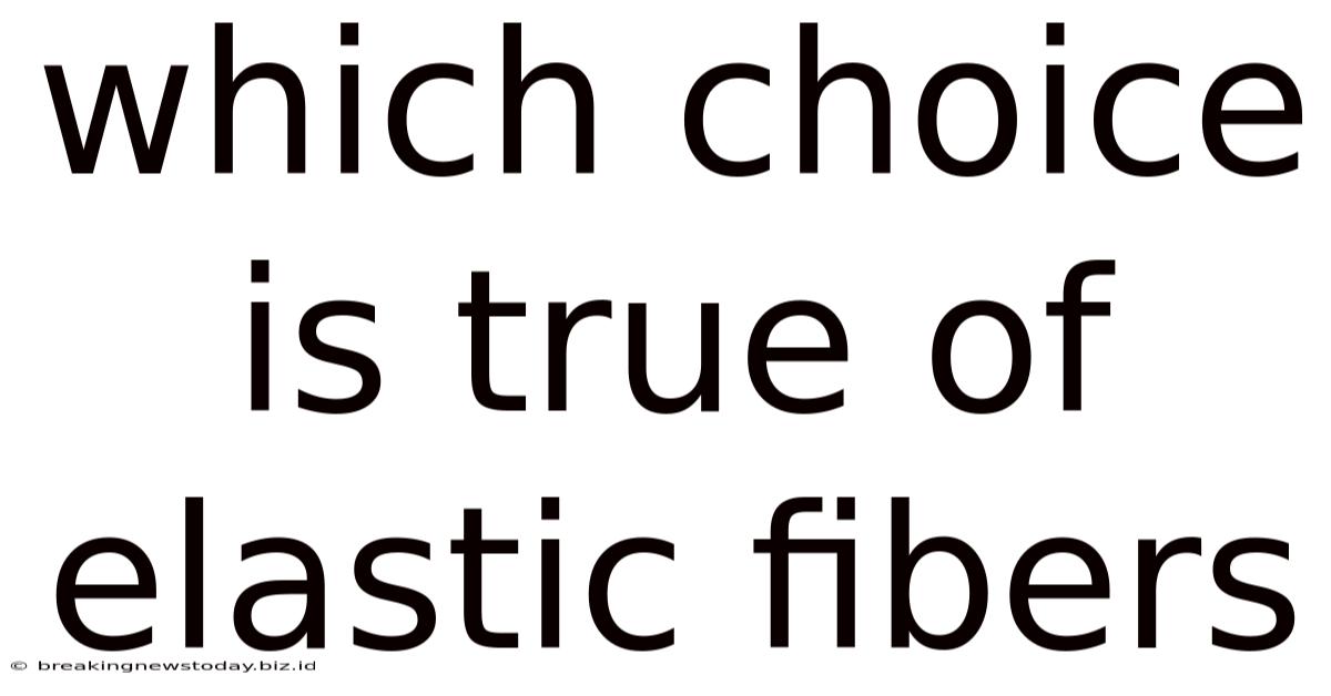 Which Choice Is True Of Elastic Fibers