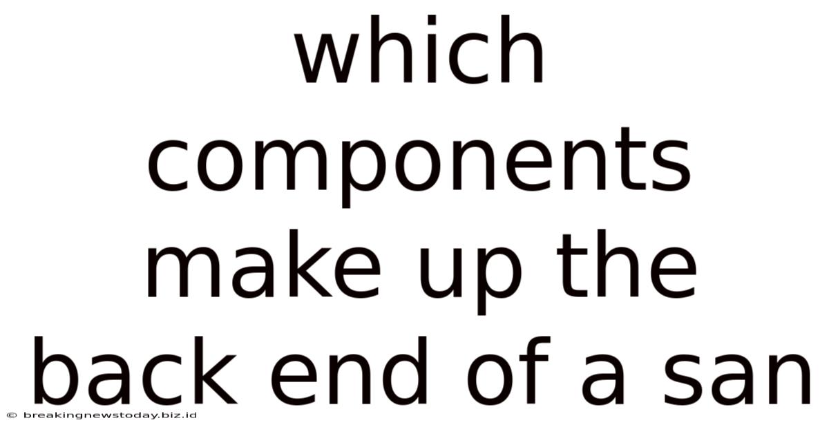 Which Components Make Up The Back End Of A San