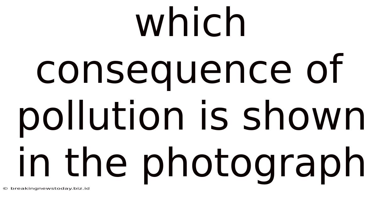 Which Consequence Of Pollution Is Shown In The Photograph