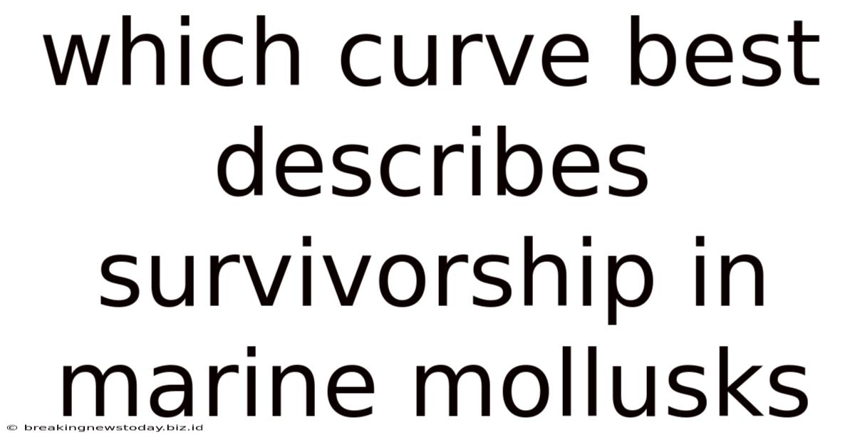 Which Curve Best Describes Survivorship In Marine Mollusks