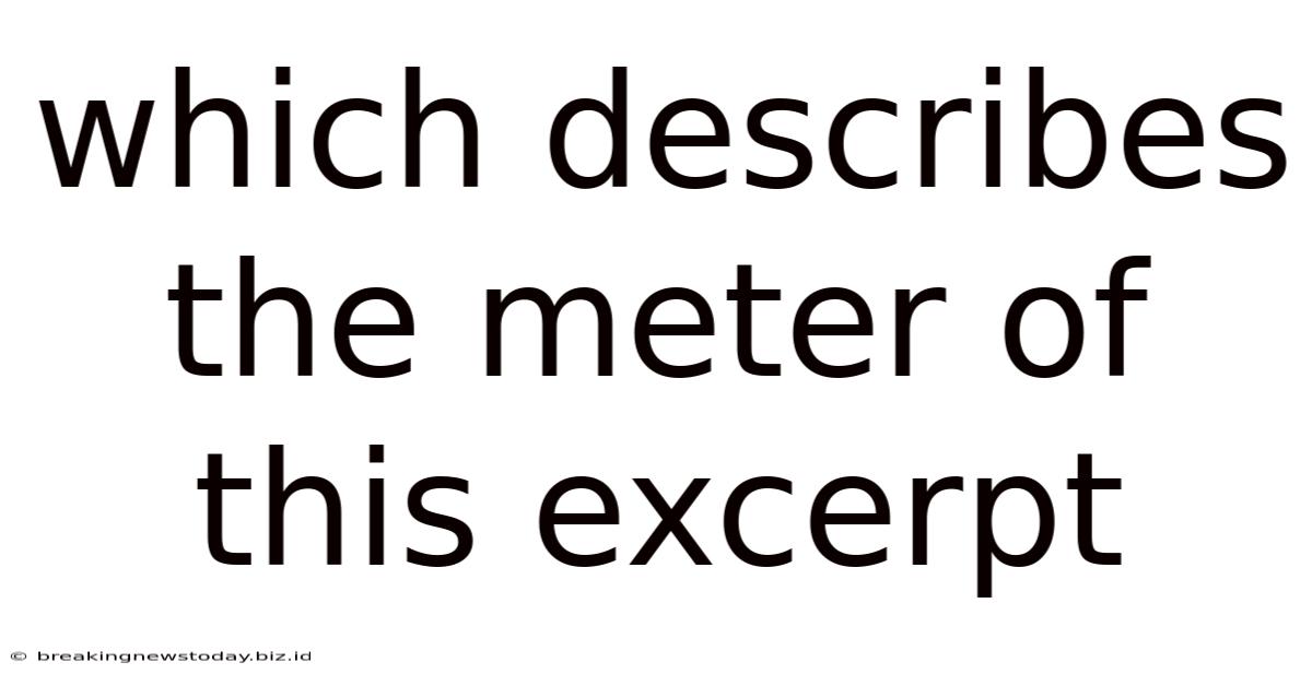Which Describes The Meter Of This Excerpt
