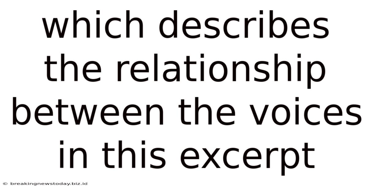 Which Describes The Relationship Between The Voices In This Excerpt