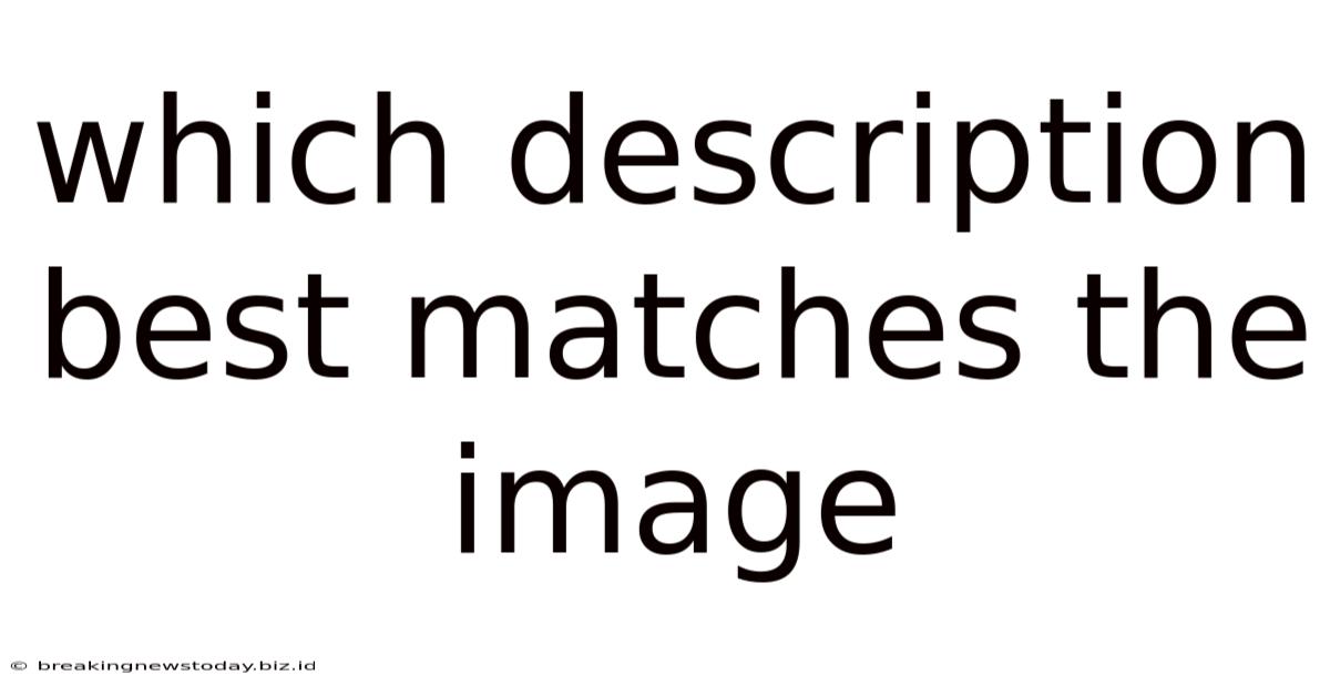 Which Description Best Matches The Image