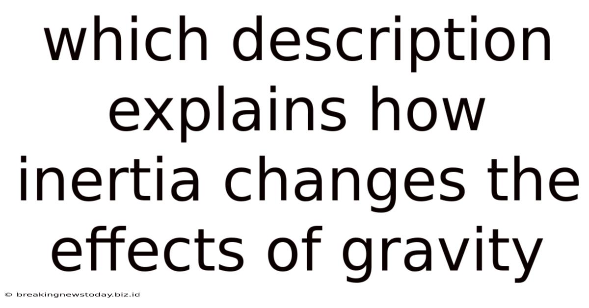 Which Description Explains How Inertia Changes The Effects Of Gravity