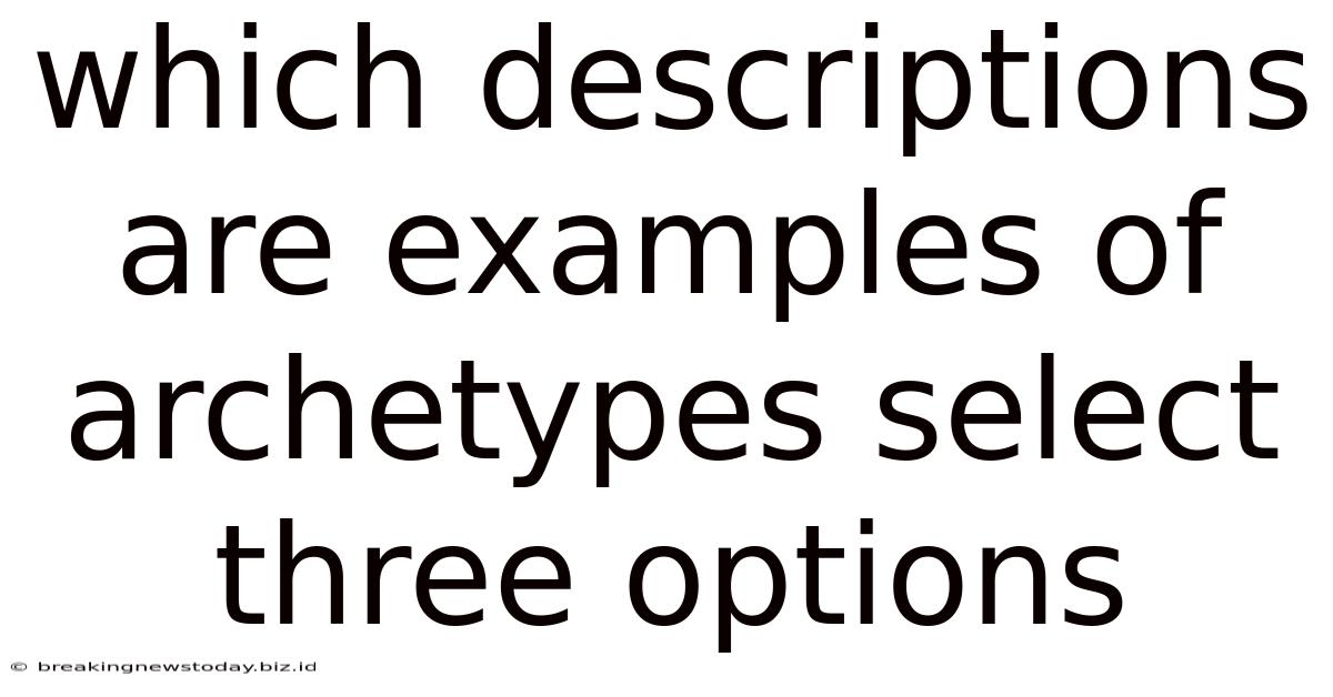 Which Descriptions Are Examples Of Archetypes Select Three Options