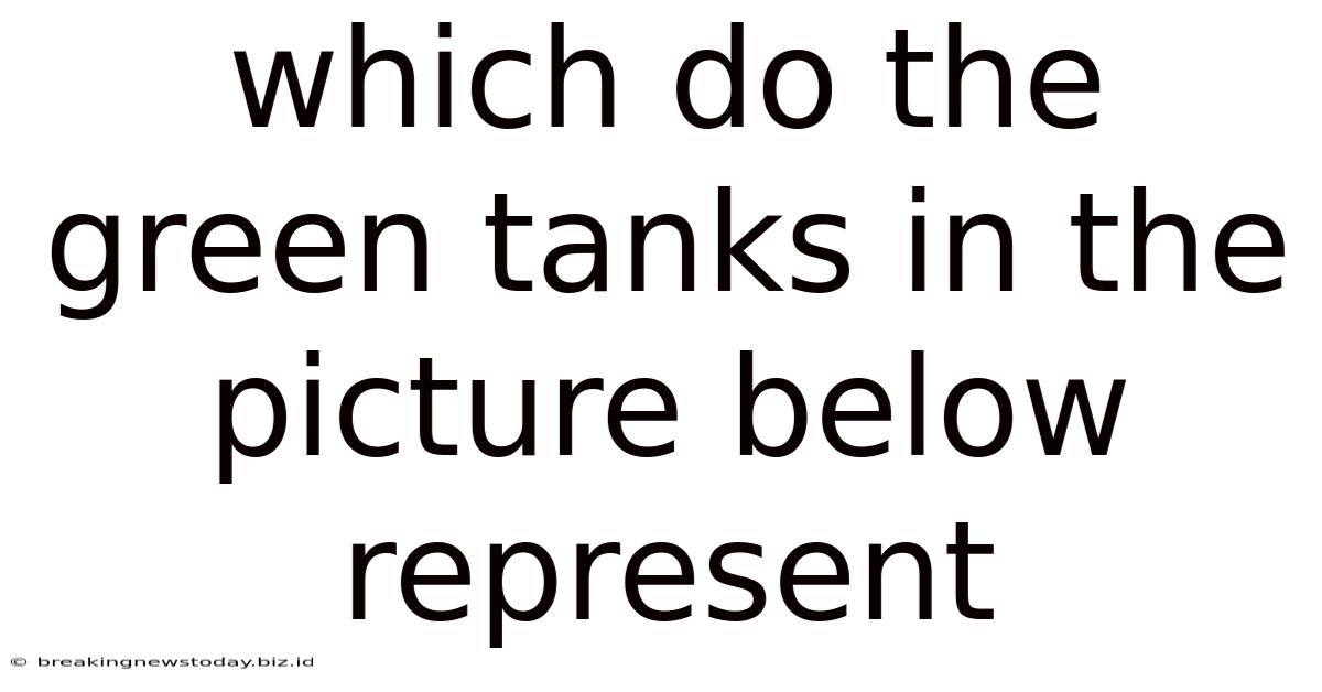 Which Do The Green Tanks In The Picture Below Represent