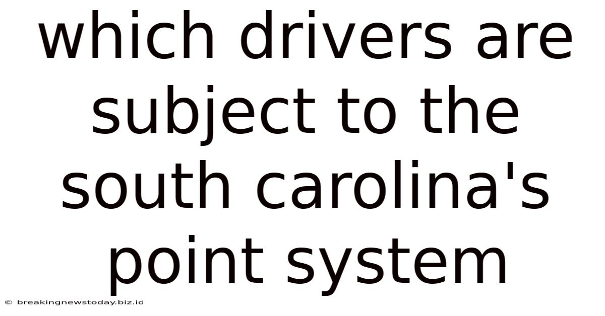Which Drivers Are Subject To The South Carolina's Point System