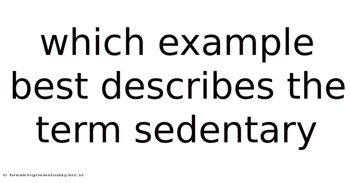 Which Example Best Describes The Term Sedentary