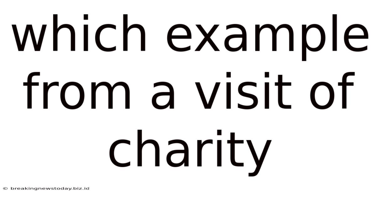 Which Example From A Visit Of Charity