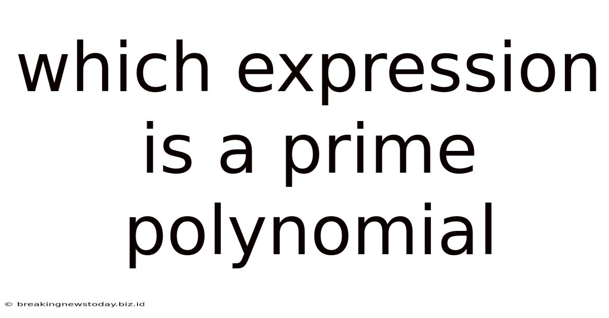 Which Expression Is A Prime Polynomial