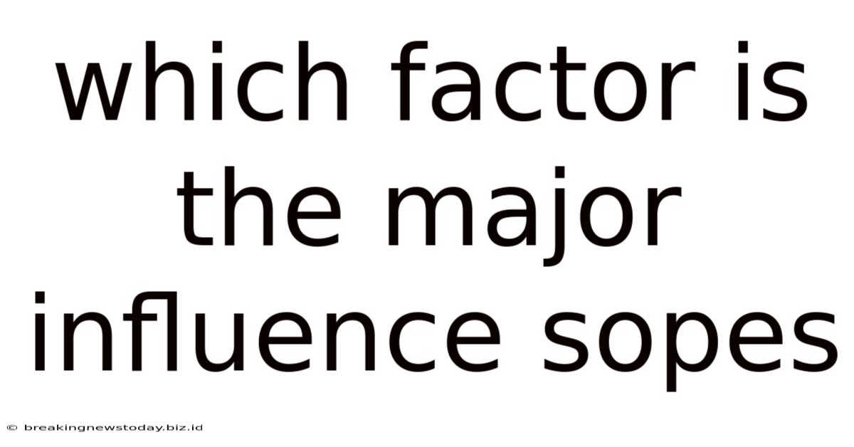 Which Factor Is The Major Influence Sopes