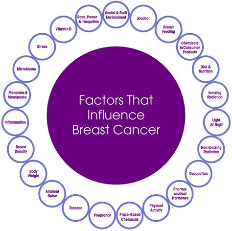 Which Factors Increase The Risk Of Breast Cancer Quizlet