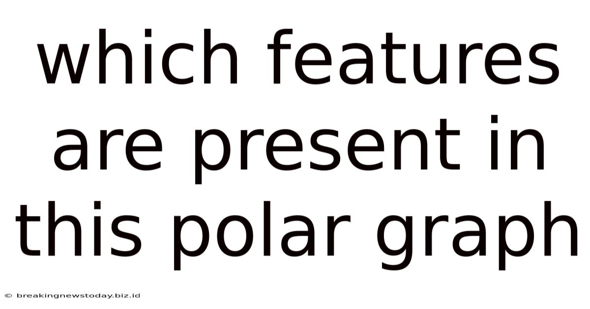 Which Features Are Present In This Polar Graph